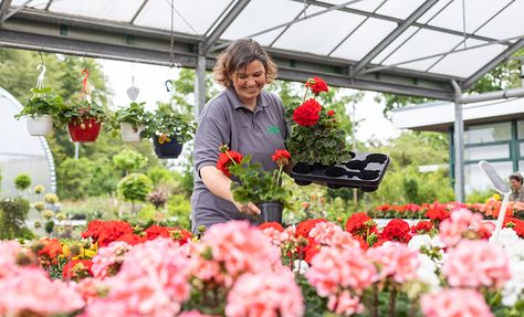 Gartenzentrum Heinrich Schneede in Neumünster Angebote