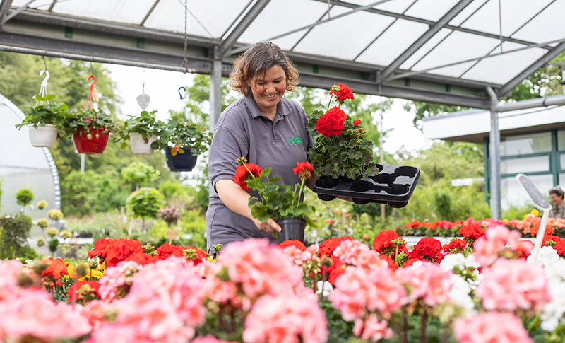 Gartenzentrum Heinrich Schneede in Neumünster über uns