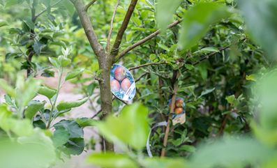 Gartenzentrum Heinrich Schneede in Neumünster