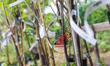 Gartenzentrum Heinrich Schneede in Neumünster Baumschule