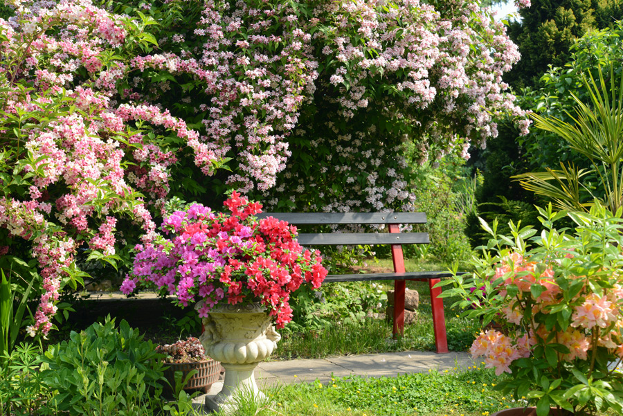 Gartenzentrum Heinrich Schneede in Neumünster Gartengestaltung