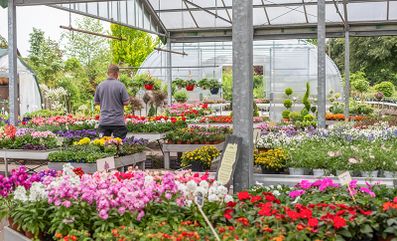Gartenzentrum Heinrich Schneede in Neumünster