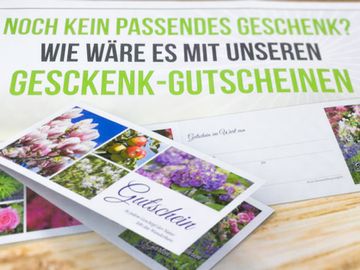 Gartenzentrum Heinrich Schneede in Neumünster Geschenk-Gutschein