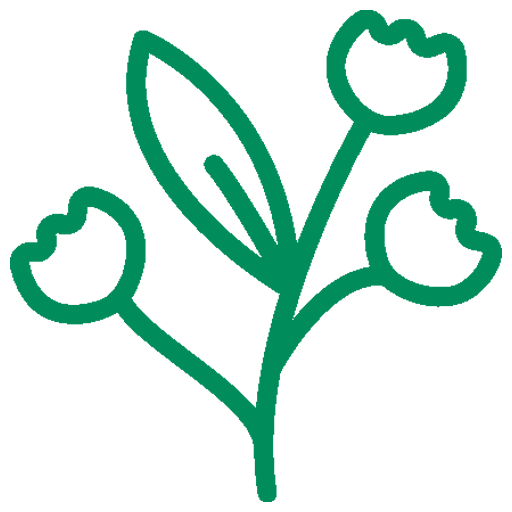 Icon Blüte