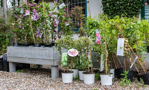 Gartenzentrum Heinrich Schneede in Neumünster Baumschule