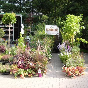 Gartenzentrum Heinrich Schneede in Neumünster Baumschule