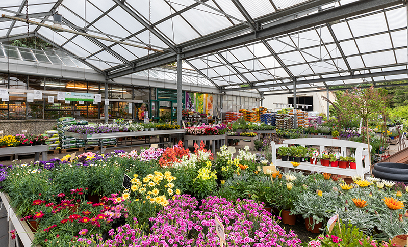 Gartenzentrum Heinrich Schneede in Neumünster großes Pflanzensortiment